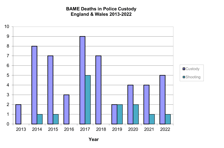 BAME deaths in police custody 2013-2022